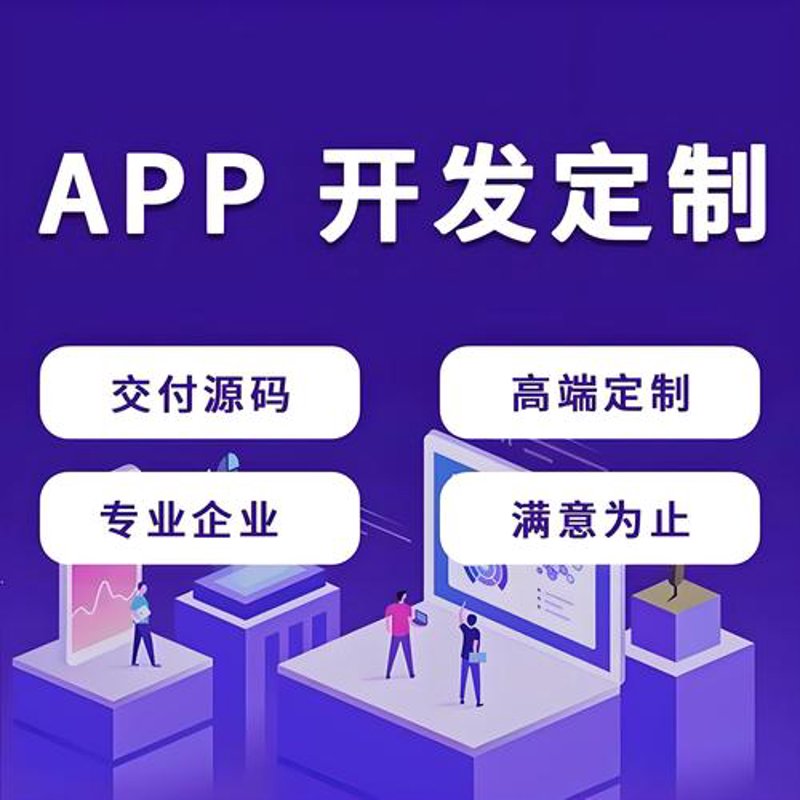 软件定制开发：构建企业数字之翼